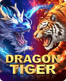 Dragon Tiger tips and tricks on P77 India